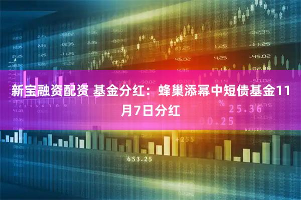 新宝融资配资 基金分红：蜂巢添幂中短债基金11月7日分红